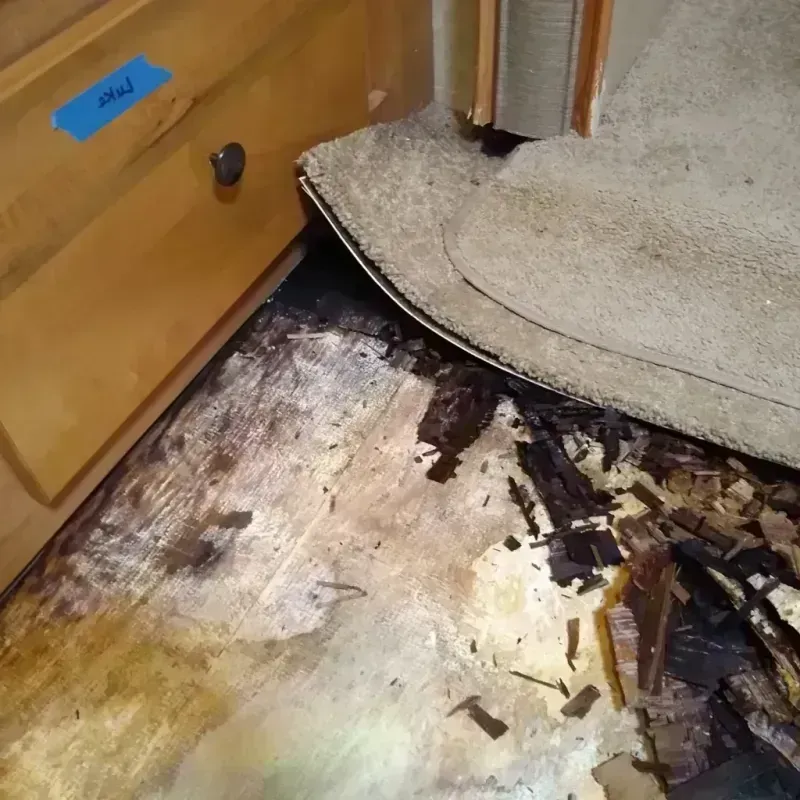 Wood Floor Water Damage in Willoughby, OH